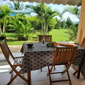  Appartement Bel T2 Avec Vue Sur Palmier Et